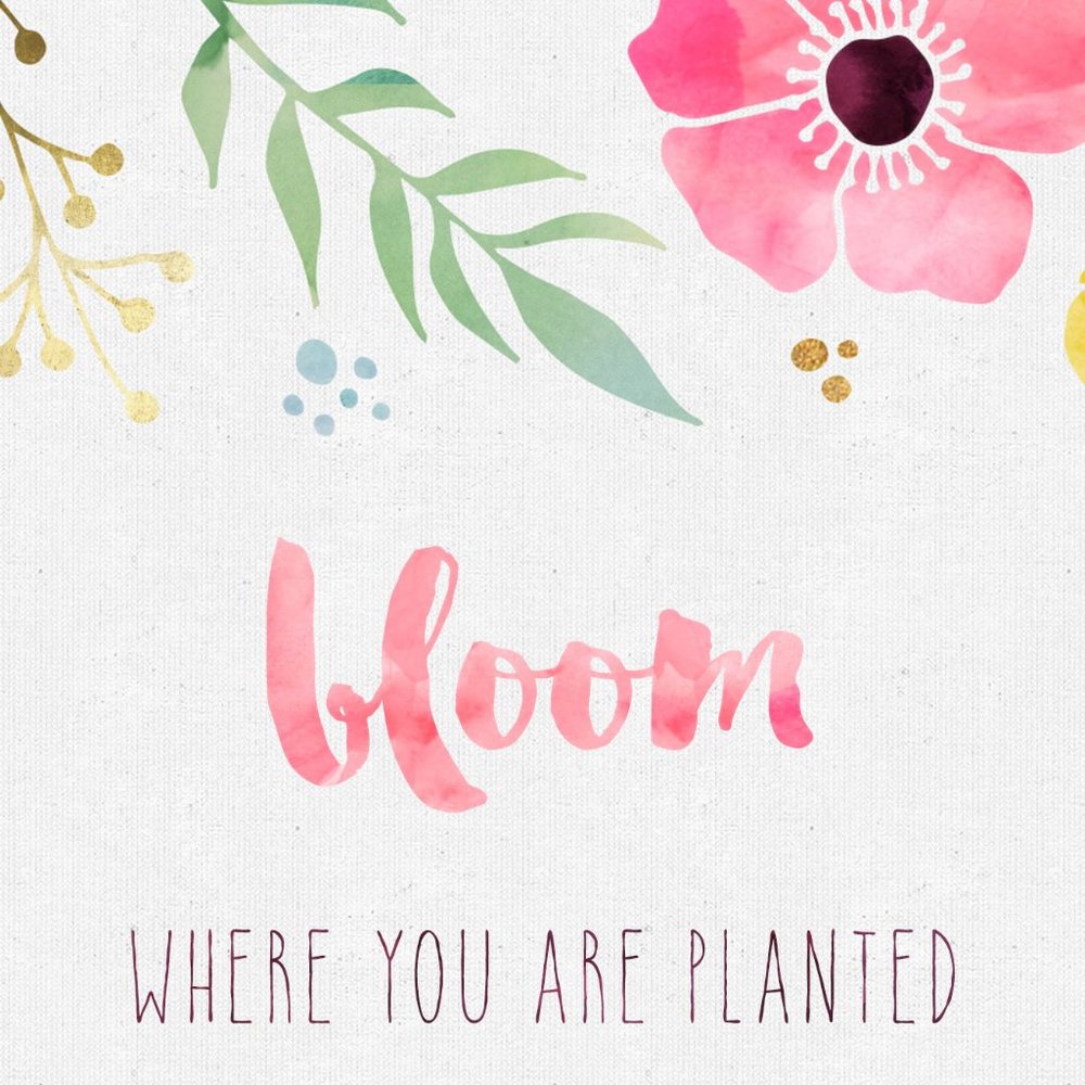 Meet your Posher, Blooming Boutique